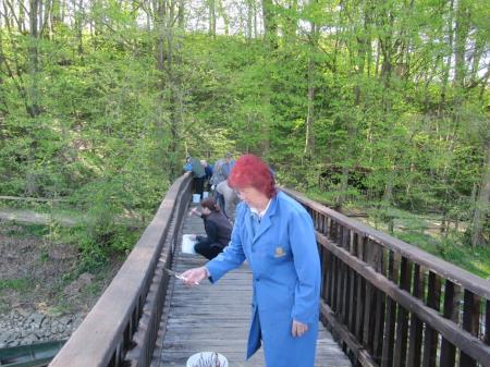 Dan za spremembe 2017 6